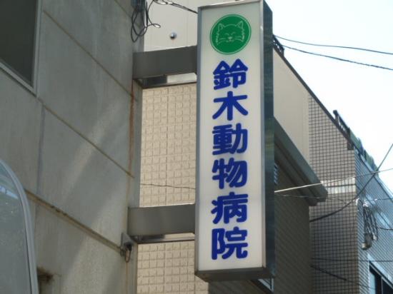 鈴木動物病院(1)