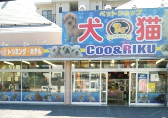 ペットショップCoo&RIKU 東日本川口・戸塚店(1)