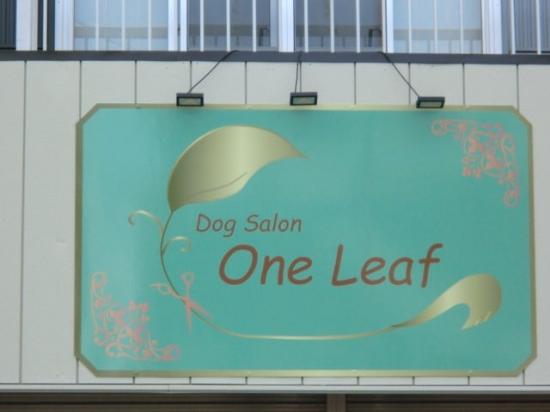 Dog Salon One Leaf(1)