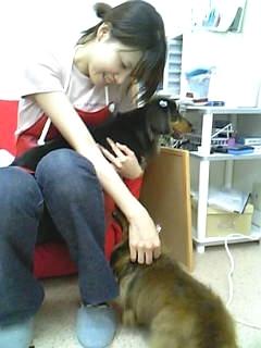 DOG Salon Rui & Mary(2)