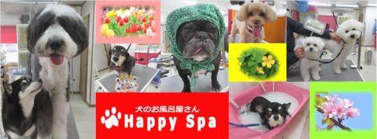 Happy・Spa(1)