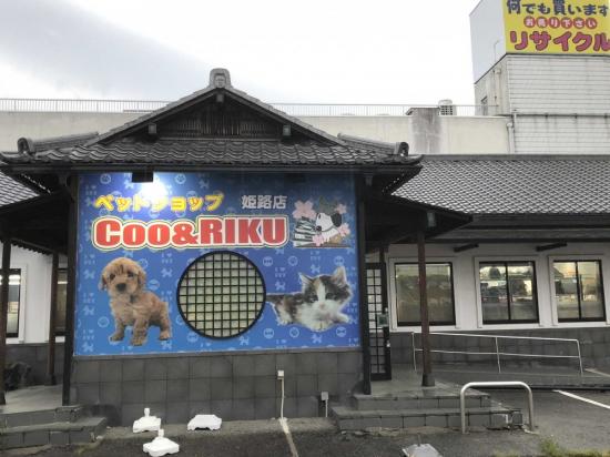 ペットショップCoo&RIKU 姫路店(1)