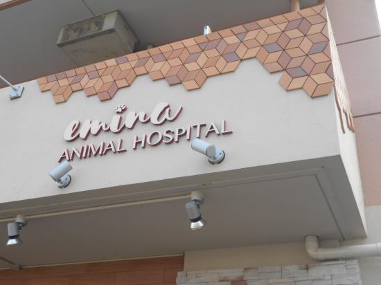 えみな動物病院(1)