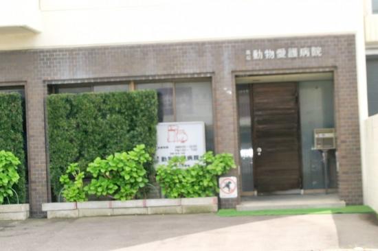 高松動物愛護病院(1)