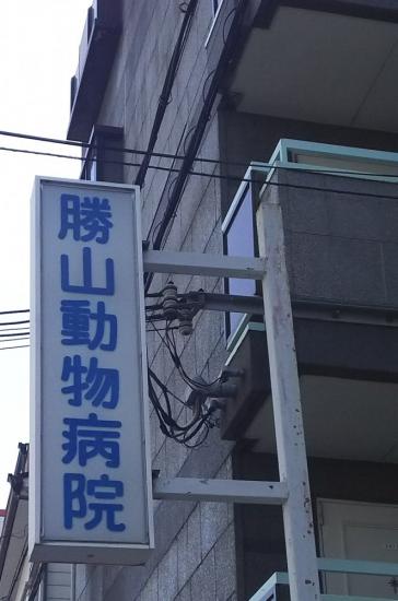 勝山動物病院(1)