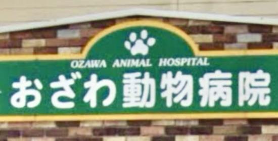 おざわ動物病院(1)
