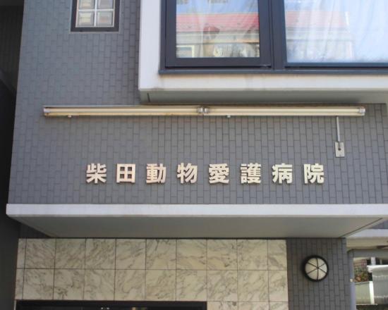 柴田動物愛護病院(1)