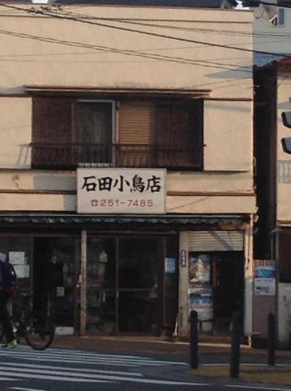 石田小鳥店(1)