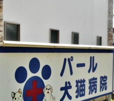 パール犬猫病院(1)