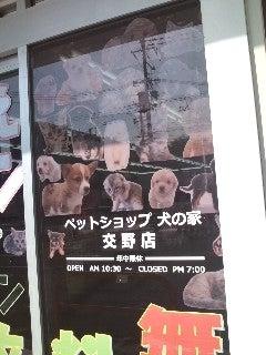 犬の家 交野店(1)