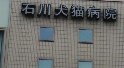 石川犬猫病院(1)