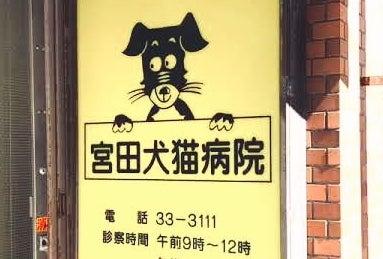 宮田犬猫病院(1)