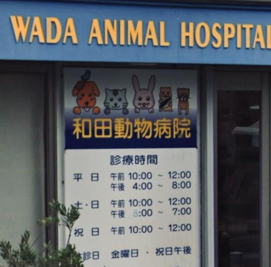 和田動物病院(1)