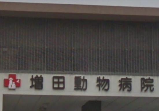 増田動物病院(1)