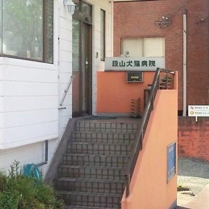 段山犬猫病院(1)