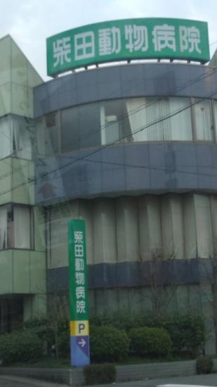 柴田動物病院(1)