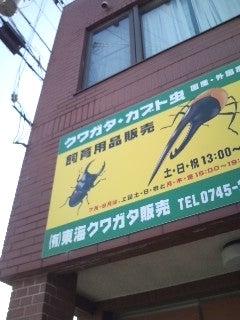 有限会社東海クワガタ販売(1)