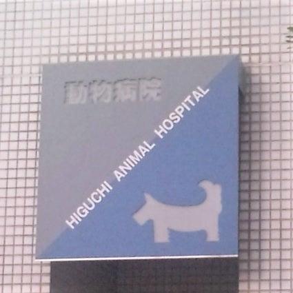 樋口動物病院(2)