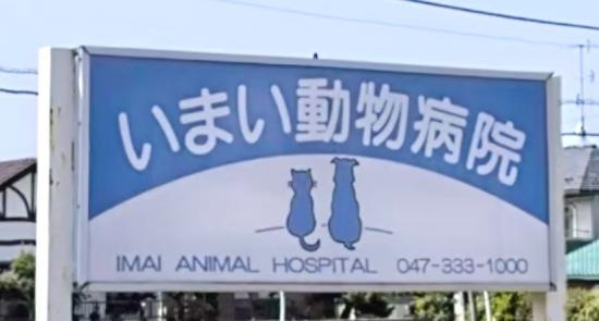 いまい動物病院(1)