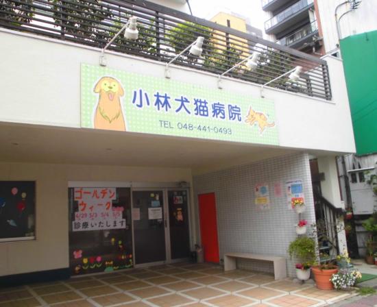 小林犬猫病院(3)