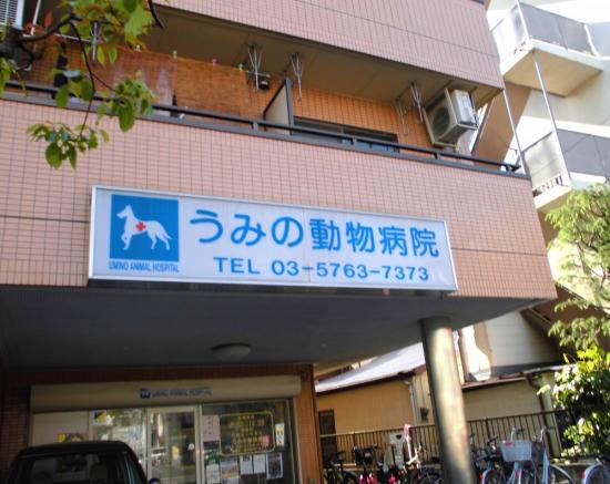 うみの動物病院(1)