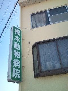 橋本動物病院(1)