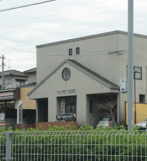 伊藤動物病院(1)