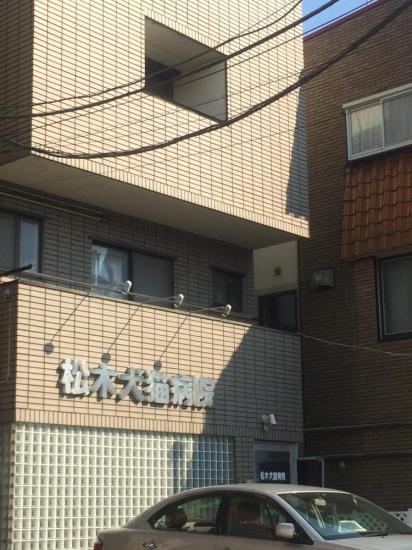 松木犬猫病院(1)