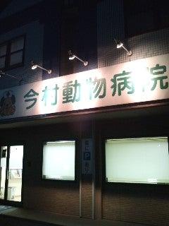 今村動物病院(1)