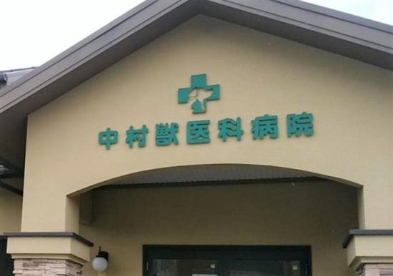 中村獣医科病院(1)