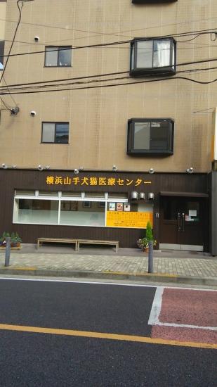 株式会社横浜山手犬猫医療センター(3)