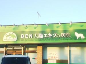 BEN犬猫エキゾの病院(1)