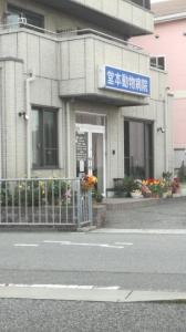 堂本動物病院(1)