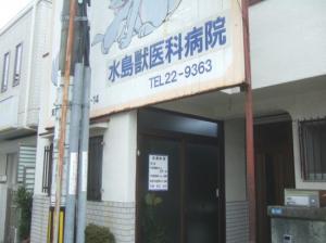 水島獣医科病院(1)