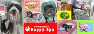 Happy・Spa(1)
