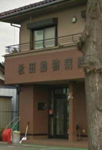 松田動物病院(1)