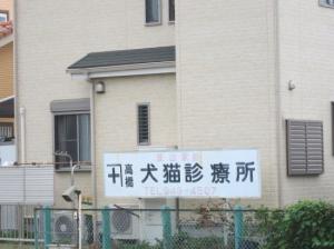 高橋犬猫病院(1)