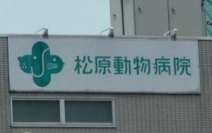 松原動物病院(1)