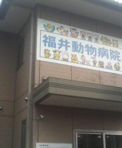 福井動物病院(1)