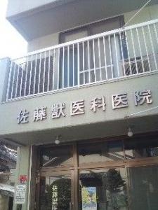 佐藤獣医科医院(1)