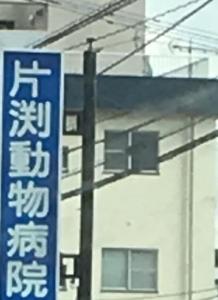 片渕動物病院(1)