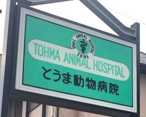 とうま動物病院(1)