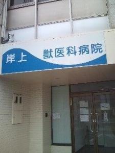 岸上獣医科病院(1)