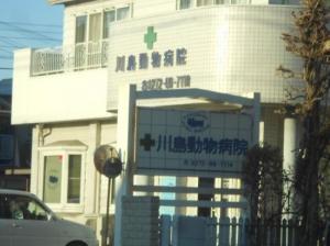 川島動物病院(1)