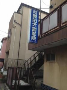 河原田犬猫医院(1)