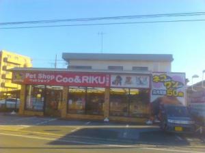 ペットショップCOO&RIKU四街道店(1)