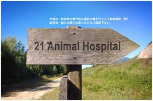 21動物病院(1)