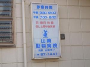 山崎動物病院(1)