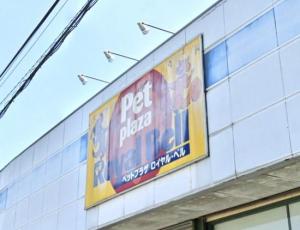 ペットプラザロイヤル・ベル鎌ケ谷店(1)