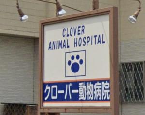 クローバー動物病院(1)